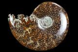 Polished, Agatized Ammonite (Cleoniceras) - Madagascar #97254-1